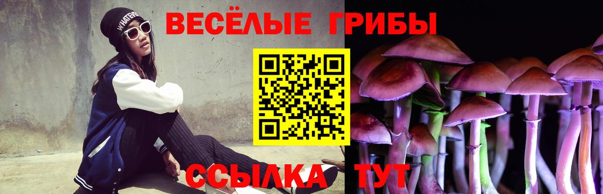 Десногорск  Галлюциногенные грибы MAGIC MUSHROOMS  наркошоп  Галлюциногенные грибы мицелий  Вход с VPN 